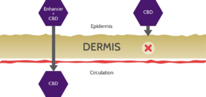 Gel Transdermal Delivery